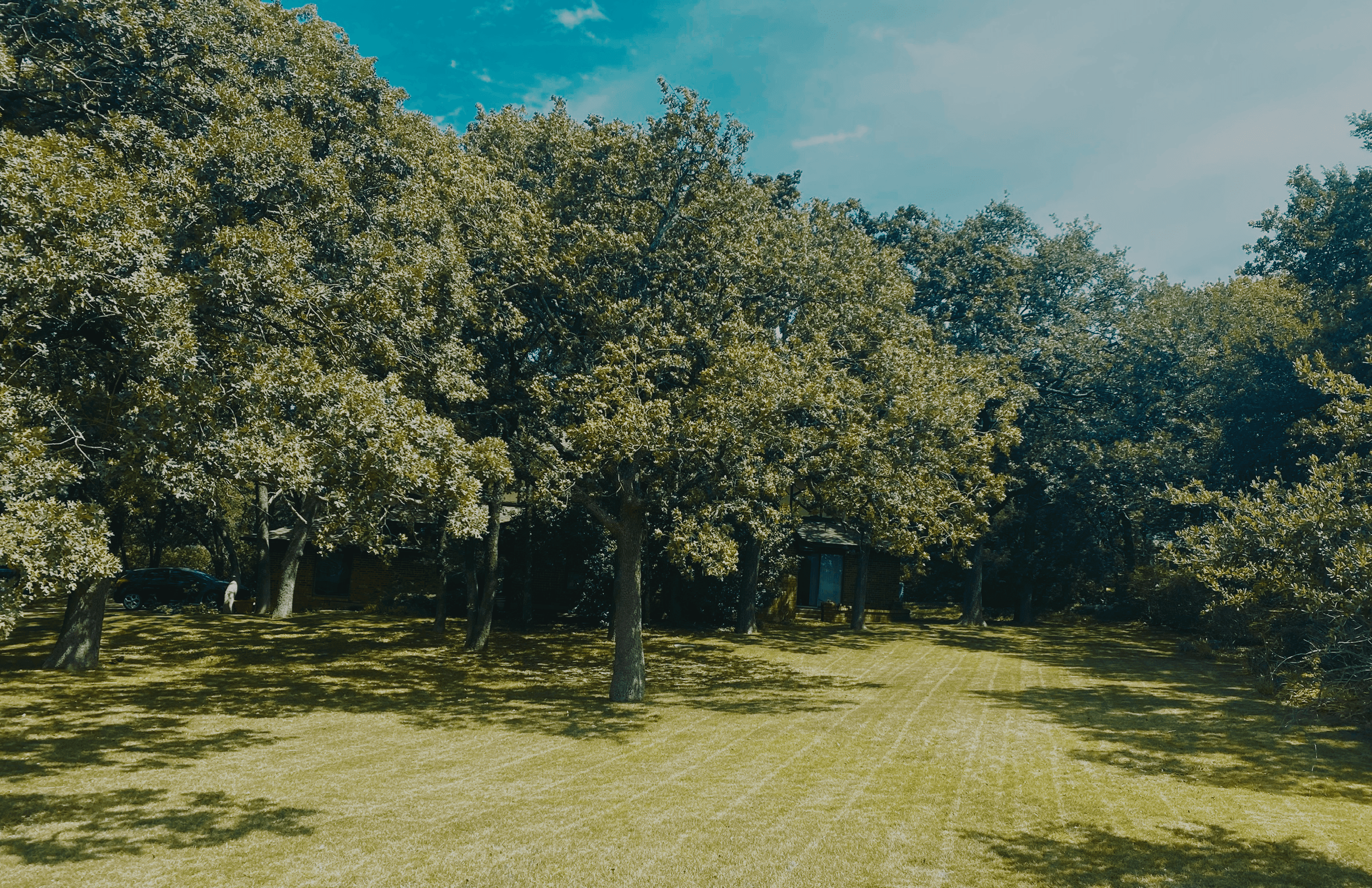 Landscaped home in Keller TX
